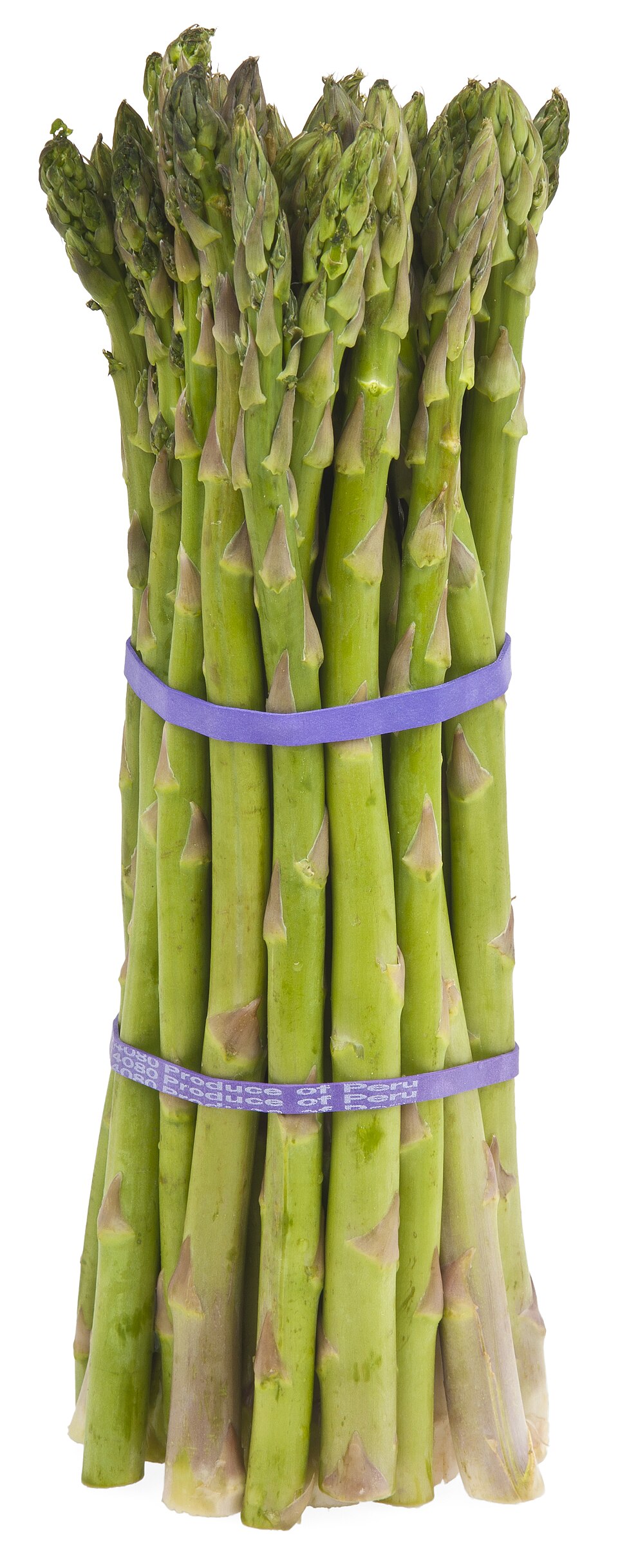 Măng Tây Đà Lạt