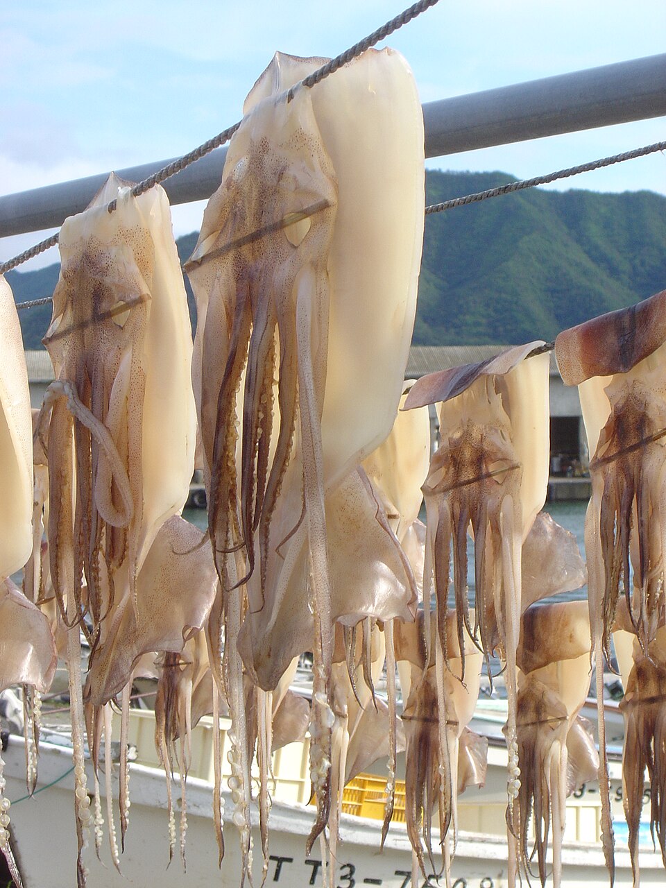 Mực Khô Phú Quốc