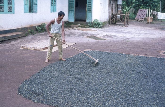 Hạt Tiêu Đen Bà Rịa